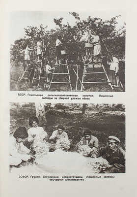 От тюрем к воспитательным учреждениям / Сб. ст. под общ. ред. А.Я. Вышинского. М., 1934.
